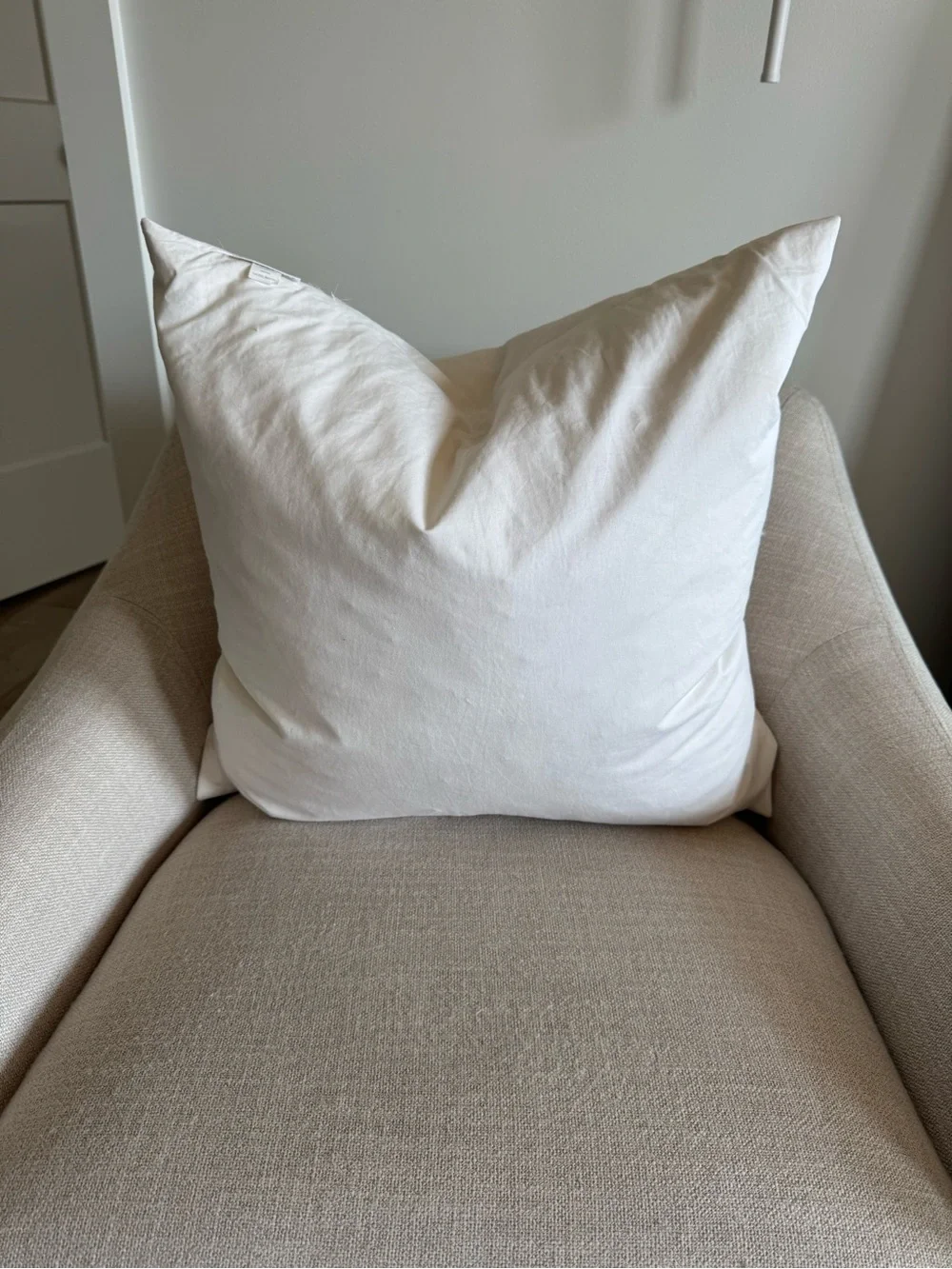 Pottery Barn Down Pillow Insert